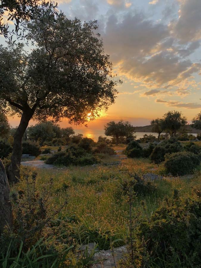 Beach Villa Isidora Potos Zewnętrze zdjęcie