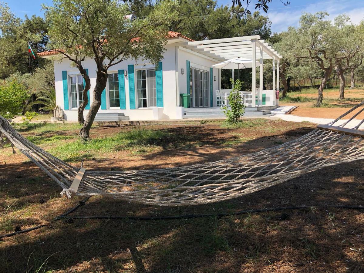 Beach Villa Isidora Potos Zewnętrze zdjęcie